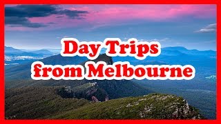 5 TopRated Day Trips from Melbourne Victoria  Australia Day Tours Guide [upl. by Photima]