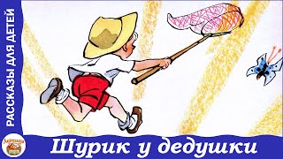 Шурик у дедушки Рассказ Николая Носова [upl. by Mendez]