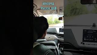 Mere Sohnyea Bandhavgarh National Park  Long Drive  Kia Carens travel kiamotors [upl. by Godfry]