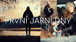 První jarní dny  Můj týden  život se štěňátkem  VLOG 4 [upl. by Nitneuq974]