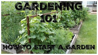 Gardening 101 How To Start A Garden [upl. by Ursel634]