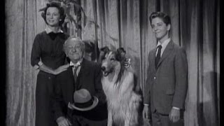 Lassie  Episode 84  quotLassies Vanityquot  Season 3 19 011357 [upl. by Wiencke217]