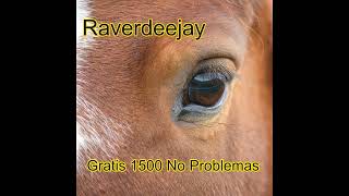 Raverdeejay  Gratis 1500 No Problemas  Rastatt  Rastatt City  Stuttgart  Karlsruhe  Strzegom [upl. by Cogn]