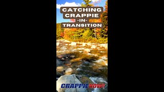 Fall Crappie Fishing Expert Tips for Catching Aggressive Slabs 🎣 [upl. by Oicnevuj]