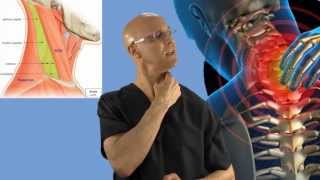 90Second Relief Technique for a Stiff Neck Wry Neck Torticollis  Dr Mandell [upl. by Sykes]