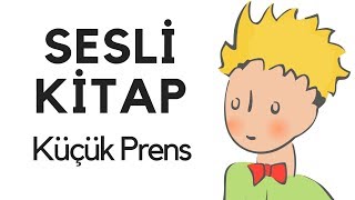 Küçük Prens Sesli Kitap Dinle Oku Tek Parça Masal Abbas Tekin [upl. by Ehrenberg]