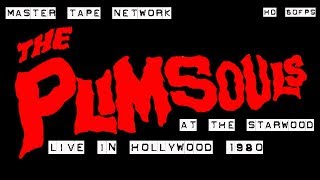 The Plimsouls Live in Hollywood 1980  The Starwood Master video Tape 60fps HD [upl. by Rubinstein]