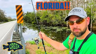 2 Hours Fishing Florida Canals and Ditches [upl. by Llenwad]