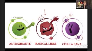 Radicales Libres y Antioxidantes [upl. by Illehs]