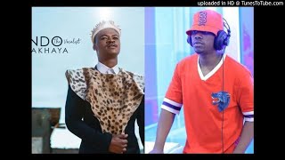 Mlindo The Vocalist ft Rayvanny – AmaBlesser Remix Official Audio Video [upl. by Masterson896]