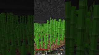 How to get rich on the Donut SMP [upl. by Paulie]