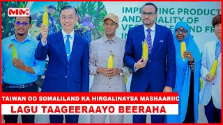 Taiwan oo Somaliland ka hirgalinaysa mashaariic lagu taageeraayo Beeraha [upl. by Brigette]