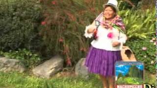 ROSITA DEL CUSCO  CARNAVAL ACOMAINO [upl. by Nitaj]