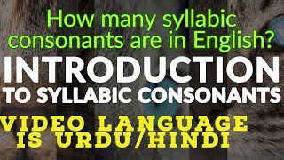 Introduction To English Syllabic Consonants  Number of Syllabic Consonants in English [upl. by Ahsennek354]