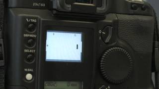 Canon EOS D2000 Pong Video [upl. by Ozzie]