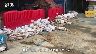 29 people stay at Wuhan Huanan Seafood Market for more than 2 months but not get infected [upl. by Ellehcyar469]