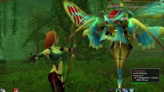 World Of Warcraft Quest Info Stinglasher [upl. by Hogarth]