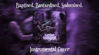 Infant Annihilator  Baptised Bastardised Sodomised Instrumental Cover [upl. by Manville]