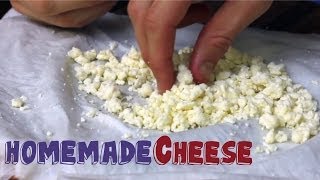 Worlds EASIEST Homemade CHEESE recipe 3 Ingredients [upl. by Cole]