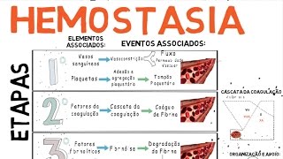 Hemostasia Coagulação do Sangue [upl. by Lleumas980]