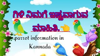 PARROT II parrot in KannadaII ಗಿಳಿ 🦜indianeducation 👈✍️ [upl. by Laurene68]