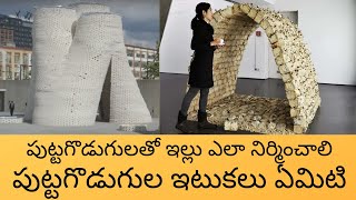 How to Build House with Mushrooms in Telugu  What are Mushrooms Bricks in Telugu  Kiran Varma [upl. by Newra690]