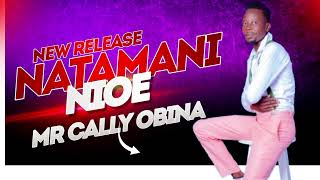 Mr cally Obina  Natamani nioe  official audio Visualiser [upl. by Roleat662]