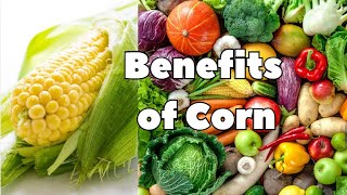 Benefits of CORN Very Beneficial [upl. by Cosette]