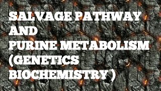 SALVAGE PATHWAY AND PURINE METABOLISM GENETICS BIOCHEMISTRY [upl. by Toy]