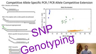 SNP genotyping Plants Competitive AlleleSpecific PCR Genotyping [upl. by Margi561]