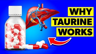 What Is Taurine and What Are Taurine Supplement Benefits [upl. by Xuaegram]