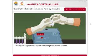 Quantitative estimation of amino acids by ninhydrin part 2 [upl. by Philippe]