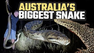 FINDING AUSTRALIAS BIGGEST SNAKE amp RARE LIZARDS  SCRUB PYTHON  HERPING CAIRNS EP 4 [upl. by Pricilla]