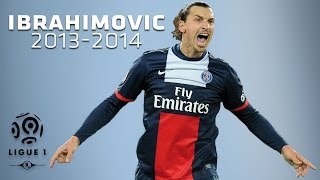 Zlatan Ibrahimovic  All Goals in 20132014 1st half  PSG [upl. by Rotsen]