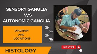 SENSORY VS AUTONOMIC GANGLIA  HISTOLOGY SERIES  youtube subscribetomychannel gmcsindhudurg me [upl. by Dlareg526]