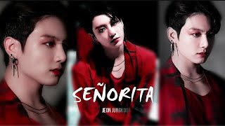 jeon jungkook  Señorita FMV [upl. by Nnawaj250]