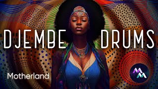 African Music  DJEMBE Drumming Afrobeats  African Relaxing Music Full HD [upl. by Seagrave]