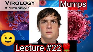 mumps mumps symptoms mumps virus microbiology VIROLOGY MICROBIOLOGY LEVINSON [upl. by Kennett]