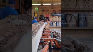 16 ft White Oak we making 2x12x16ft Lumber boy are they heavywoodmizer wood diy [upl. by Erie]