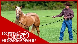 Clinton Anderson Training a Rescue Horse Part 1  Downunder Horsemanship [upl. by Aryhs]