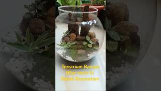 Terrarium Making IdeasFittonia Plant DecorationDiwali Decoration Ideas plant fittonia terrarium [upl. by Suitangi282]