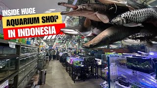 Recently Visited Large Aquarium Shop In Central Jakarta Indonesia [upl. by Alva24]