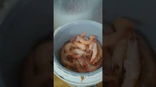 mrvuongkmk food brentrivera funny ampworldofficial cooking ampworldnetwork kikikim kitchen [upl. by Magner]