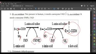 L67 Deamination [upl. by Dana]