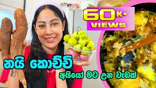 Piumi Srinayaka cooking නැන්දම්මගේ recipe එකකට රසම රස කෑමක් හැදුවා  manioc curry  2024 [upl. by Gianna]