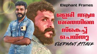 ആനയുടെ ആക്രമണം  കായംകുളം ശരത്ത്  Elephant Frames  PART 5 [upl. by Sabec]