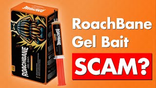 RoachBane Gel Bait Review  Legit or Scam [upl. by Kwasi]