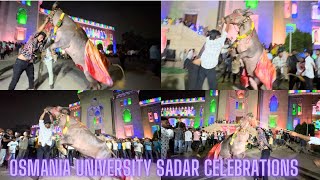 Osmania University Sadar Celebrations 2024  Bulls Lifting At Osmania University Students  Sadar [upl. by Ahsiner]