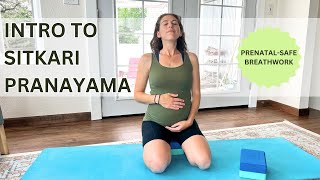 Intro to Sitkari Pranayama [upl. by Nnyroc]