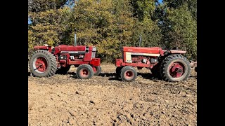 Some plowing action with a 1066 black stripe and a 1466 international [upl. by Nikolaos]